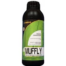 INSECTICIDAS,ECOLOÓGICOS,MUFFLY